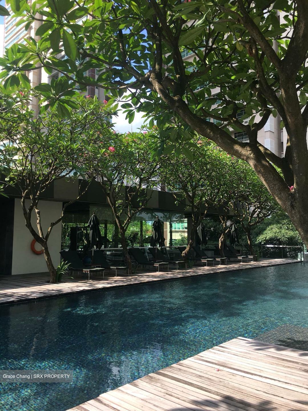 Newton Suites (D11), Apartment #582426711
